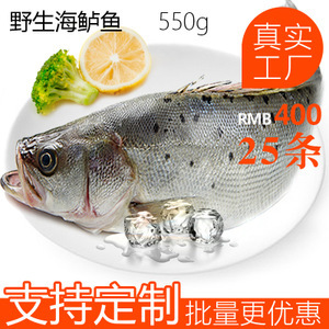 冷凍鱸魚市場分析 價(jià)格、圖片、批發(fā)采購及供應(yīng)商渠道