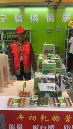 供銷優(yōu)勢聚合，農(nóng)特產(chǎn)品閃耀——宏偉區(qū)供銷社參展東北亞(營口)農(nóng)副產(chǎn)品展銷會(huì)紀(jì)實(shí)