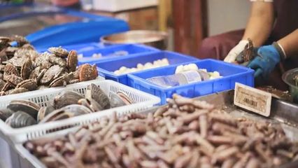 煙臺(tái)開(kāi)海首日！凌晨碼頭沸騰，生猛海鮮批量上岸直供市民餐桌