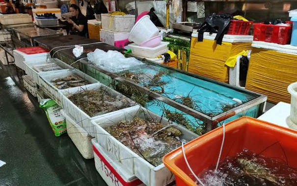 廣東省主要水產品批發市場一覽